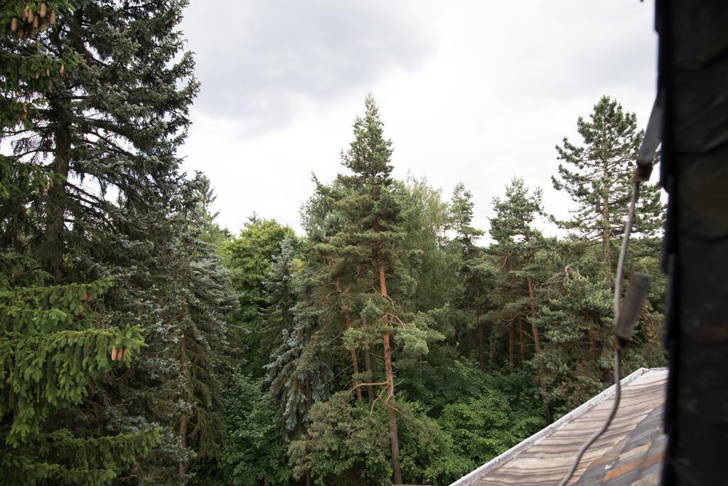 Villa Augustusberg Petrovice  Экстерьер фото