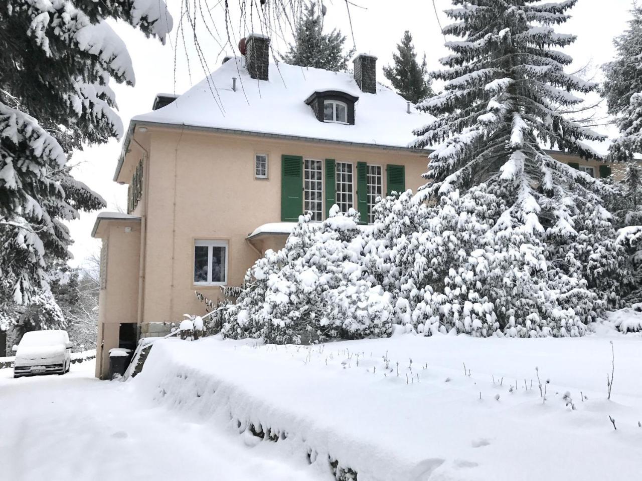 Villa Augustusberg Petrovice  Экстерьер фото